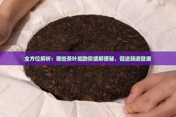 全方位解析：哪些茶葉能助你緩解便秘，促進腸道健康