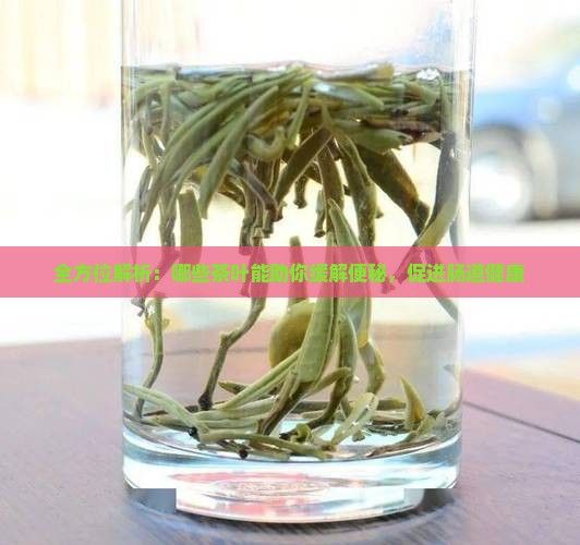 全方位解析：哪些茶葉能助你緩解便秘，促進腸道健康