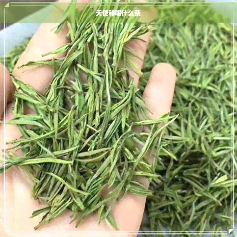 天便秘喝什么茶