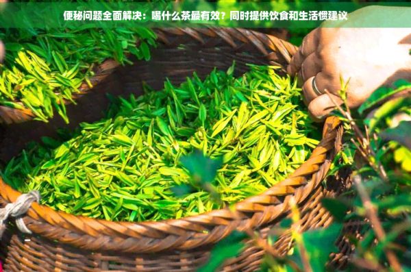 便秘问题全面解决：喝什么茶最有效？同时提供饮食和生活惯建议