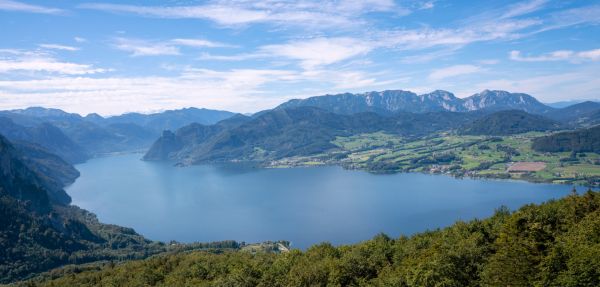 低钠无碘盐对健康的具体益处有哪些？