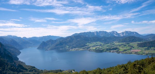 低钠无碘盐对健康的具体益处有哪些？