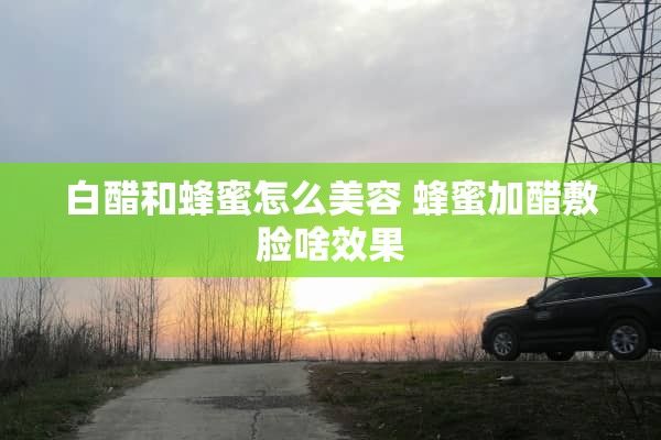 白醋和蜂蜜怎么美容 蜂蜜加醋敷臉啥效果