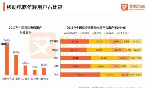 深入解析：茶葉的消費人群細分類型及方面