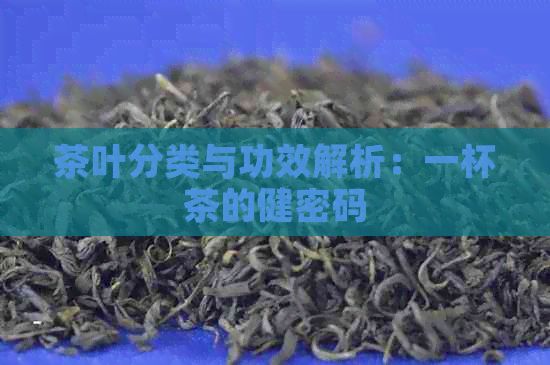 茶葉分類與功效解析：一杯茶的健密碼