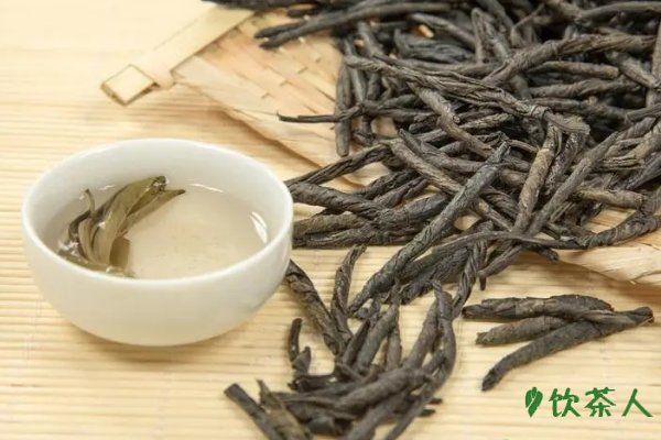 苦丁茶的正確喝法，飲用苦丁茶的禁忌