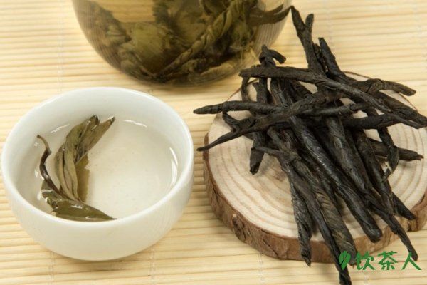 苦丁茶的正確喝法，飲用苦丁茶的禁忌