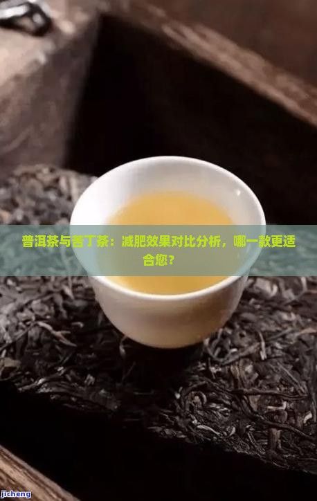 普洱茶與苦丁茶：減肥效果對比分析，哪一款更適合您？
