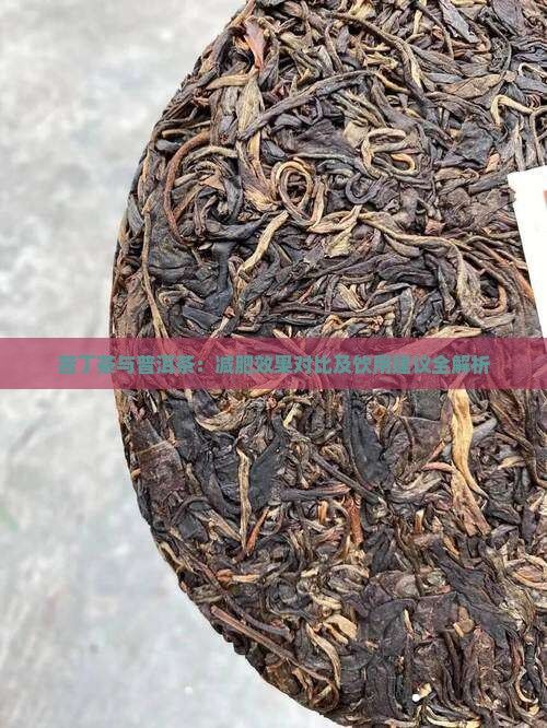 苦丁茶與普洱茶：減肥效果對比及飲用建議全解析