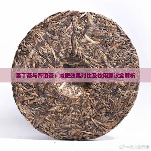 苦丁茶與普洱茶：減肥效果對比及飲用建議全解析