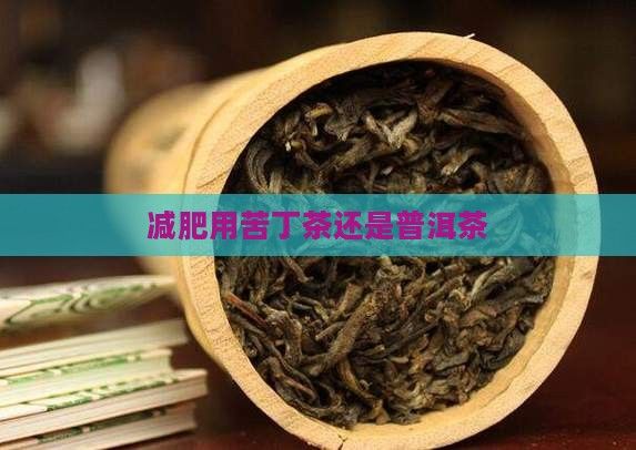 減肥用苦丁茶還是普洱茶