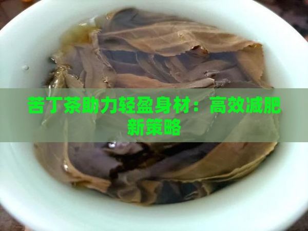 苦丁茶助力輕盈身材：高效減肥新策略