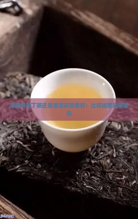 減肥用苦丁茶還是普洱茶效果好：比較減肥效果差異