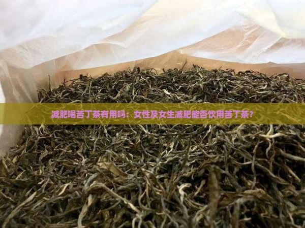減肥喝苦丁茶有用嗎：女性及女生減肥能否飲用苦丁茶？
