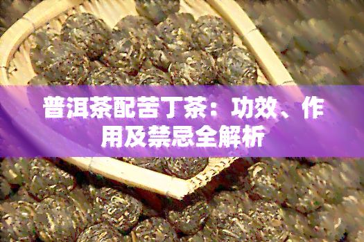 普洱茶配苦丁茶：功效、作用及禁忌全解析