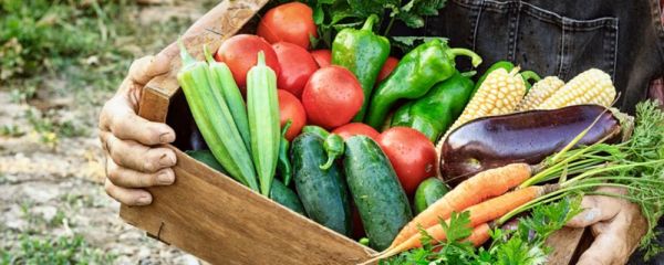 吃红豆有哪些作用 红豆的营养价值有哪些 秋季吃红豆有哪些好处