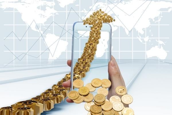 2006年保健品市场调查与分析报告图1