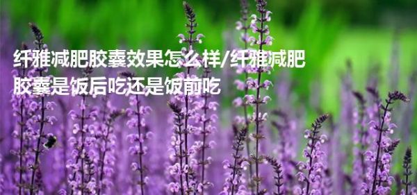 纖雅減肥膠囊效果怎么樣/纖雅減肥膠囊是飯后吃還是飯前吃