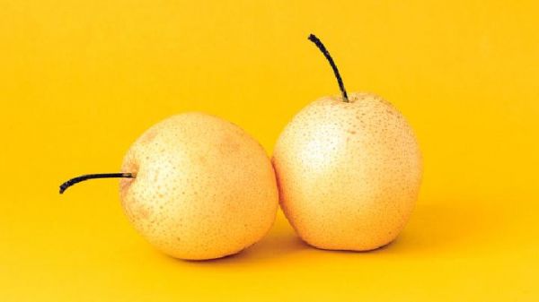 老人如何運動養(yǎng)生？老年人養(yǎng)生鍛煉方法有哪些？