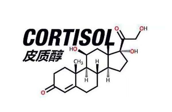 肚子上面的脂肪太顽固，4个小妙招，巧妙减去大肚子