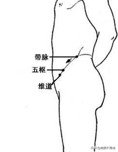 你肚子肥肉多吗，不用运动就可以清除内脏脂肪