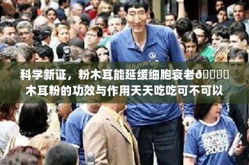 科學新證，粉木耳能延緩細胞衰老?木耳粉的功效與作用天天吃吃可不可以
