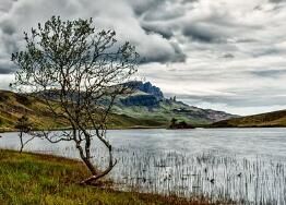 适量吃花生能抑制肥胖！六大吃花生减肥法_家庭医生在线减肥频道