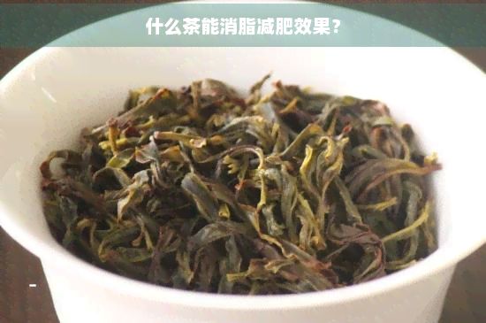 什么茶能消脂減肥效果？