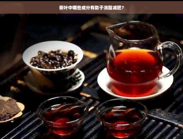 茶葉中哪些成分有助于消脂減肥？