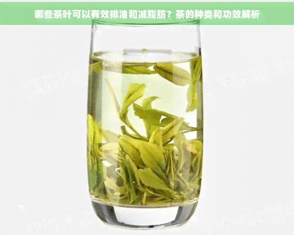 哪些茶葉可以有效排油和減脂肪?茶的種類和功效解析