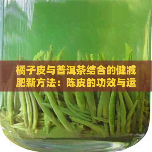 橘子皮与普洱茶结合的健减肥新方法：陈皮的功效与运用