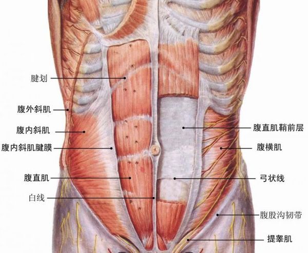 仰臥板PK健腹輪 誰才是練腹肌的王者？ 