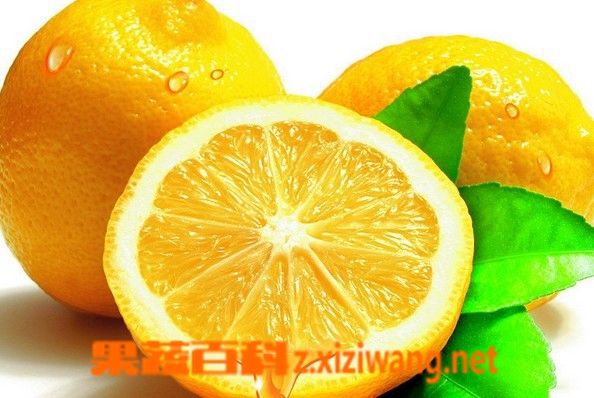 果蔬百科鮮檸檬怎么保存