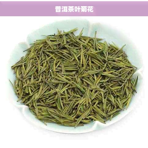 普洱茶叶菊花