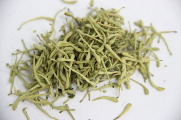金銀花人參茶喝了有什么好處 人參與金銀花一起泡茶的功效 金銀花人參茶的飲用注意事項(xiàng)