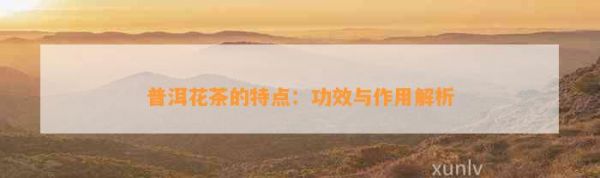普洱花茶的特點(diǎn)：功效與作用解析
