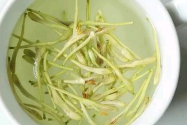 金銀花茶的沖泡方法，金銀花正確的泡水喝法