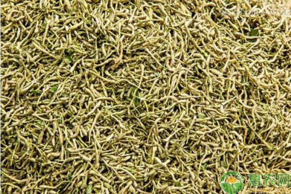 金銀花茶的制作方法和流程-圖片版權(quán)歸惠農(nóng)網(wǎng)所有