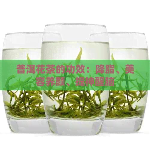 普洱花茶的功效：降脂、美容養(yǎng)顏、提神醒腦