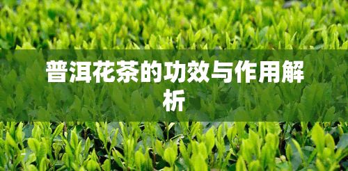 普洱花茶的功效與作用解析