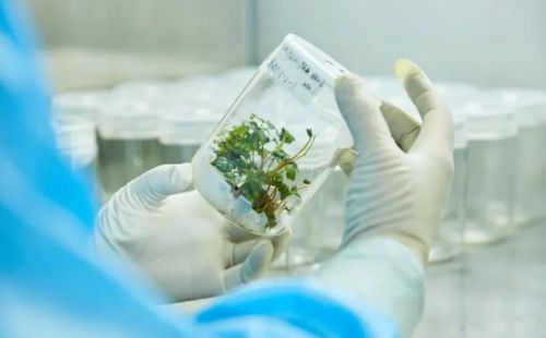 AQrin坚守绿色、安全保健品高标准！十余年死磕无药化、不滥用！