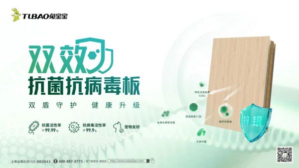 兔寶寶