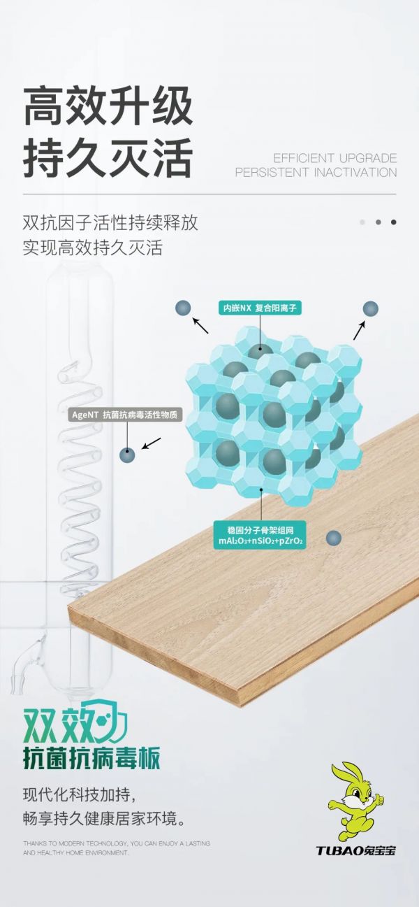 兔寶寶