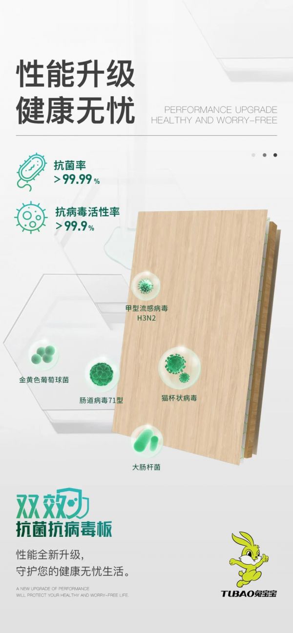 兔寶寶