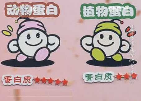 动物蛋白和植物蛋白