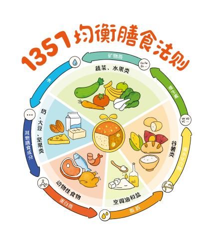 1357均衡膳食法則助力健康成長，讓孩子“營”在起跑線