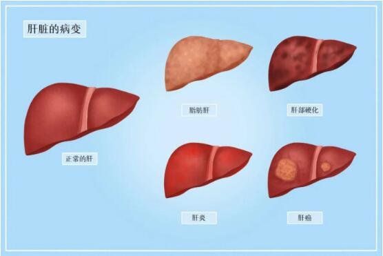 點(diǎn)擊查看原始圖片