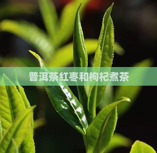 普洱茶红枣和枸杞煮茶