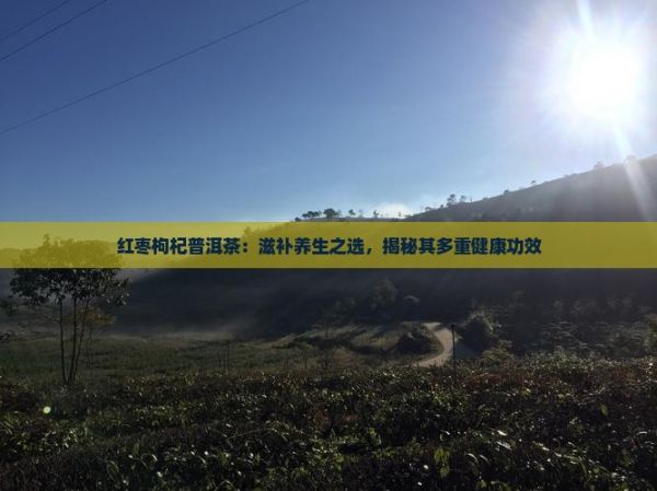 红枣枸杞普洱茶：滋补养生之选，揭秘其多重健康功效