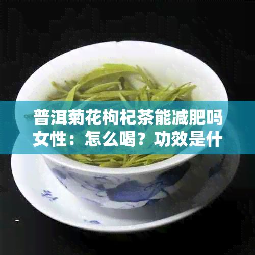 普洱菊花枸杞茶能減肥嗎女性：怎么喝？功效是什么？